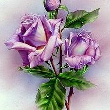 Схема вышивки «fialové ruže»