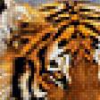 Предпросмотр схемы вышивки «Тигры» (№1305096)