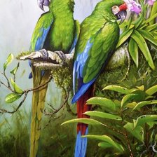 Оригинал схемы вышивки «zelený papagáji» (№1306206)