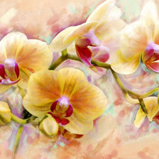 Оригинал схемы вышивки «желтые орхидей» (№1310088)