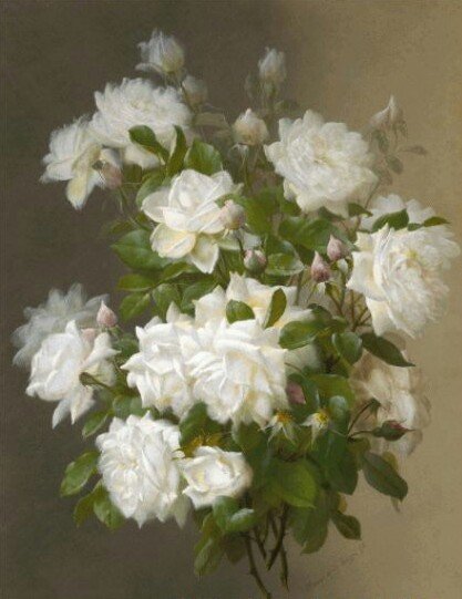 Белые розы - розы, цветы, букет - оригинал
