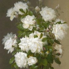 Оригинал схемы вышивки «Белые розы» (№1311118)