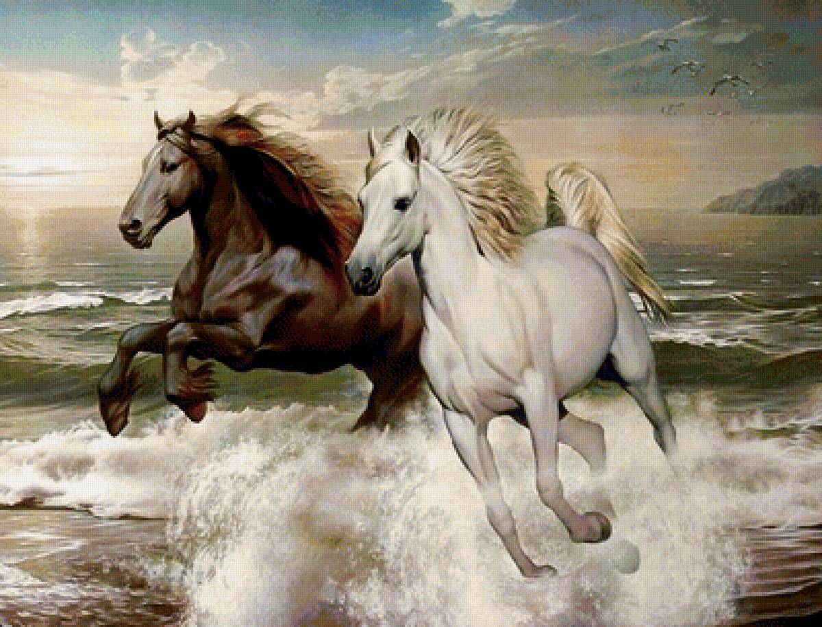 Пара лошадей - он и она, лошади, море, пара - предпросмотр