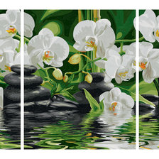 Схема вышивки «Триптих орхидея»
