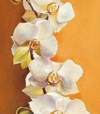Оригинал схемы вышивки «орхидея» (№1315707)