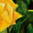 Предпросмотр схемы вышивки «желтые розы Фуджико» (№1320603)