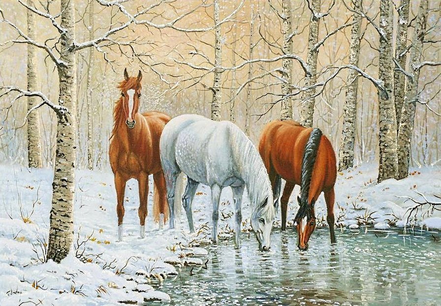 на водопое - зима, лошади, белый конь, домашние животные, лес, кони - оригинал