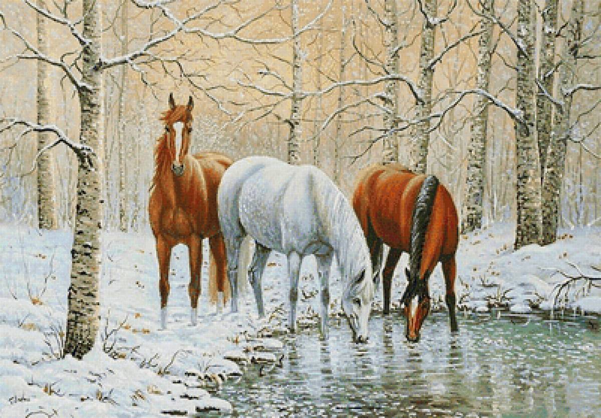 на водопое - зима, белый конь, домашние животные, кони, лес, лошади - предпросмотр