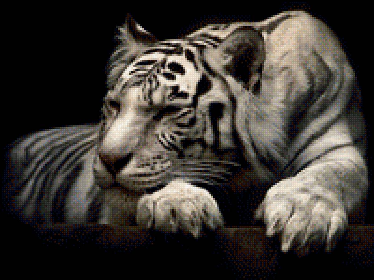Белый тигр - белый тигр, красота, кошки, дикие животные, черный фон - предпросмотр