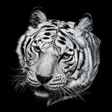 Оригинал схемы вышивки «тигр» (№1334193)