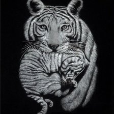 Оригинал схемы вышивки «тигрица с тигренком» (№1334197)
