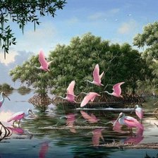 Схема вышивки «ružový vtáci na vode»