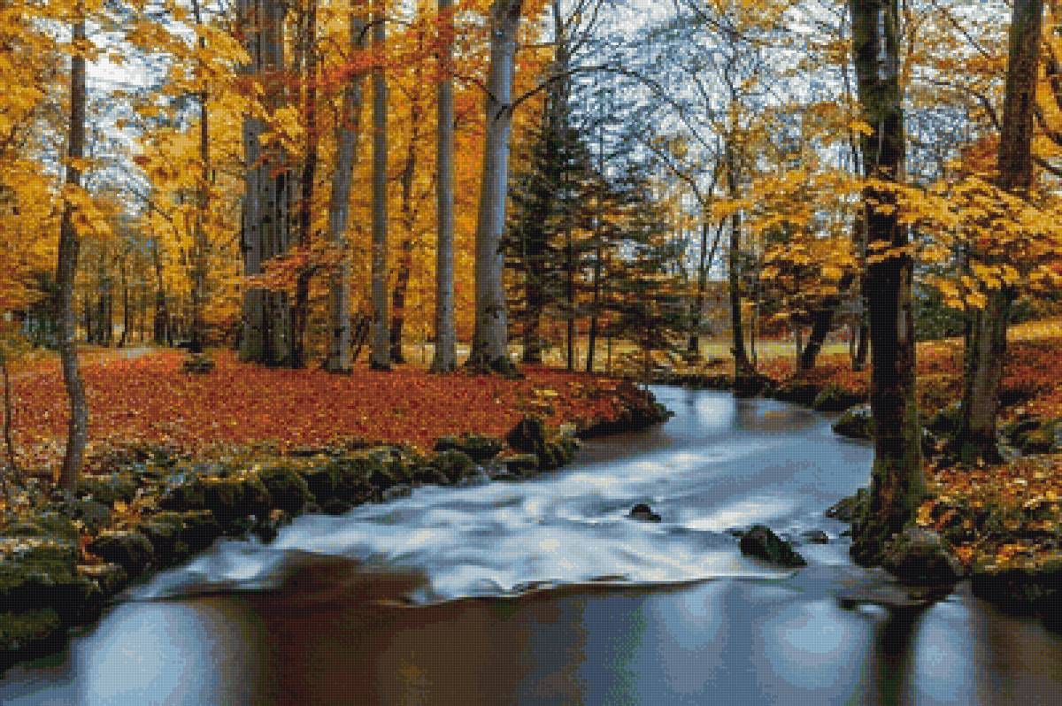 Осень Золотая - природа - предпросмотр