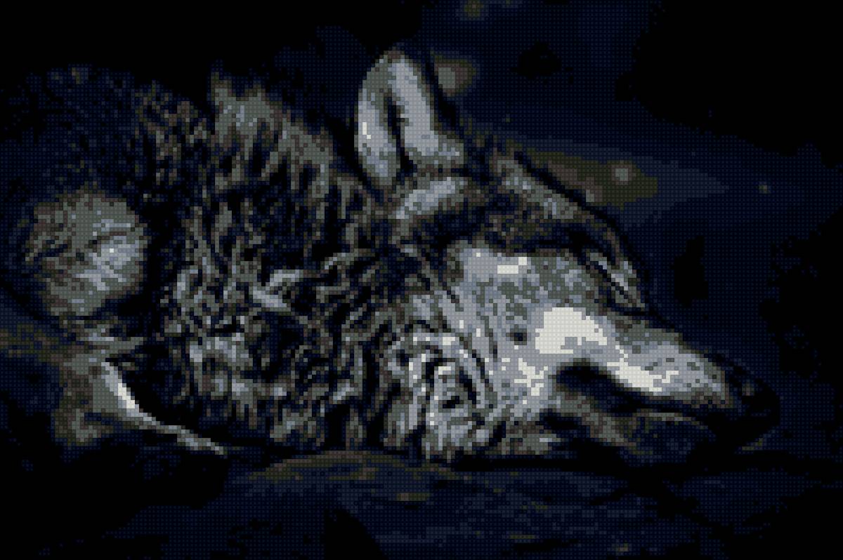 Чернобелый волк - предпросмотр