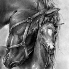 Схема вышивки «Лошадь с жеберенком»