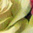 Предпросмотр схемы вышивки «розы» (№1346248)