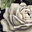 Предпросмотр схемы вышивки «белые цветы» (№1348639)