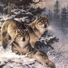 Оригинал схемы вышивки «волки» (№1352287)