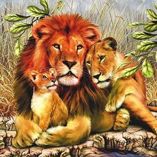 Схема вышивки «львиная семья»