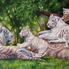 Оригинал схемы вышивки «Семейство белых тигров» (№1355542)