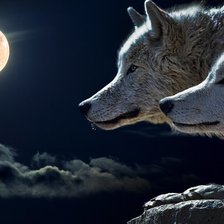 Оригинал схемы вышивки «Волки и луна» (№1356041)