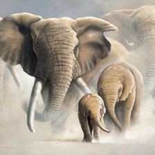 Семья слонов 3