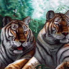 Оригинал схемы вышивки «Тигры» (№1360982)