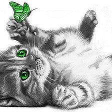 Оригинал схемы вышивки «Котенок с зелеными глазами и зеленой бабочкой» (№1361407)