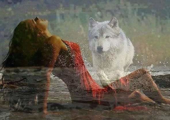 Чувства - животные, волки - оригинал