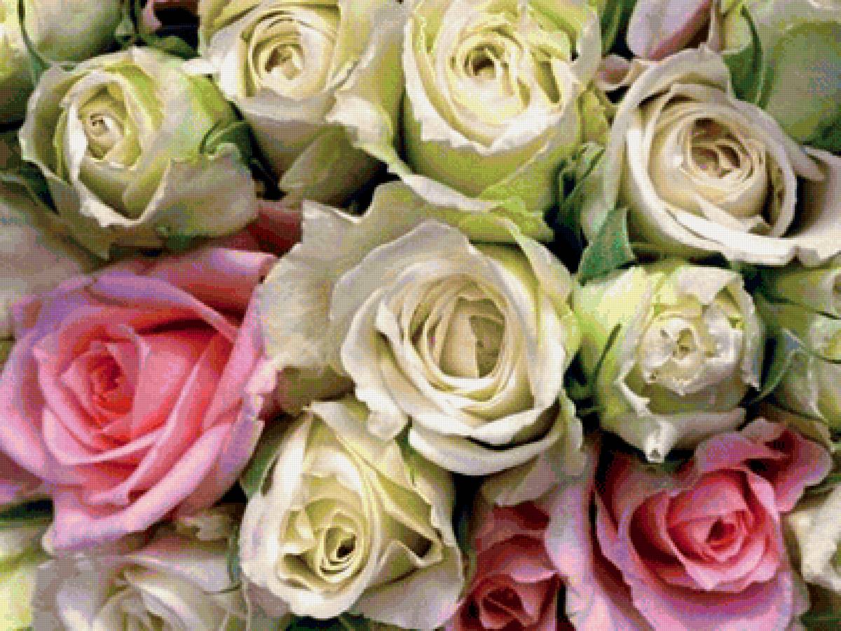 Очарование роз - букет, розы - предпросмотр