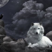 Схема вышивки «Ворон и волчица»