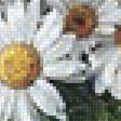 Предпросмотр схемы вышивки «полевые цветы» (№1378609)