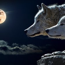 Оригинал схемы вышивки «волки» (№1381814)