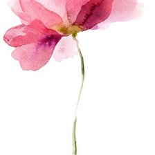 Схема вышивки «Акварель розовый цветок»