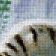 Предпросмотр схемы вышивки «Белый тигр» (№1392131)