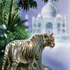 Оригинал схемы вышивки «Белый тигр» (№1392131)