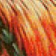 Предпросмотр схемы вышивки «петух» (№1397338)