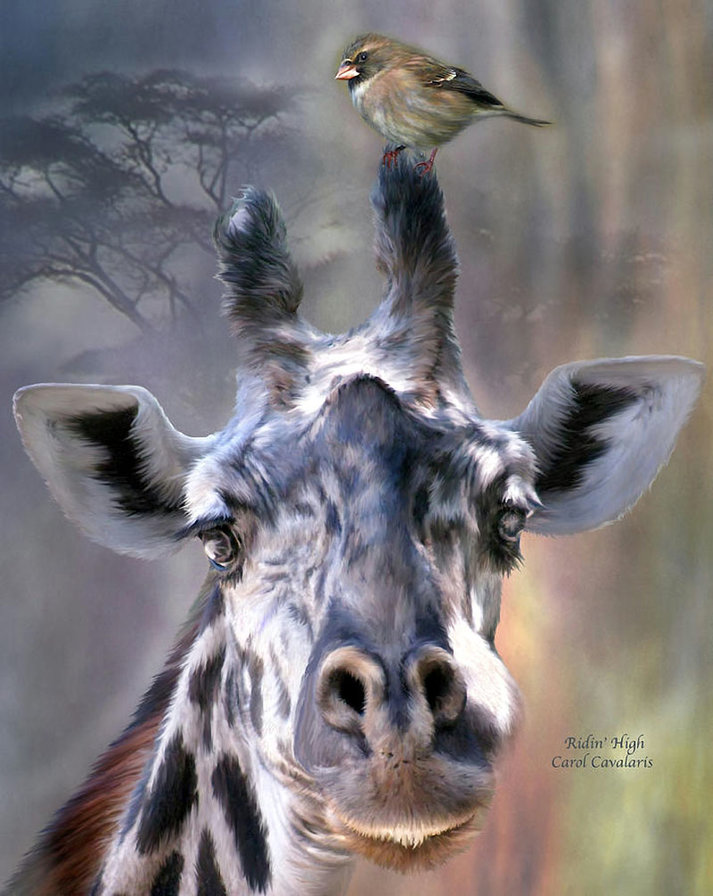 жираф - картина, животные - оригинал