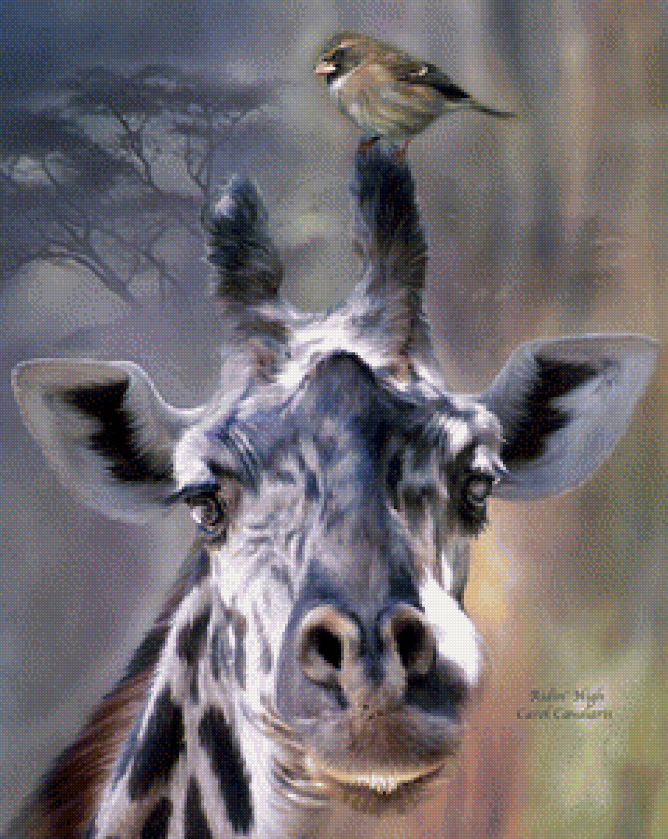 жираф - животные, картина - предпросмотр