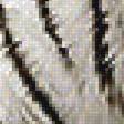 Предпросмотр схемы вышивки «Белые тигры» (№1398987)