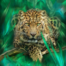 леопард2