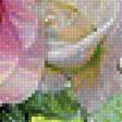 Предпросмотр схемы вышивки «розы» (№1415491)
