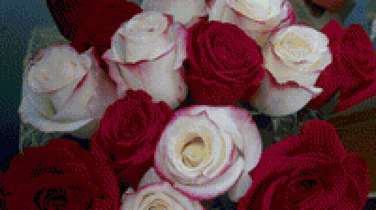 розы - цветы, букет, розы - предпросмотр