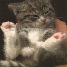 Схема вышивки «маленький котенок  на руках»