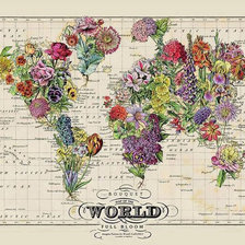 Схема вышивки «Карта мира цветы»