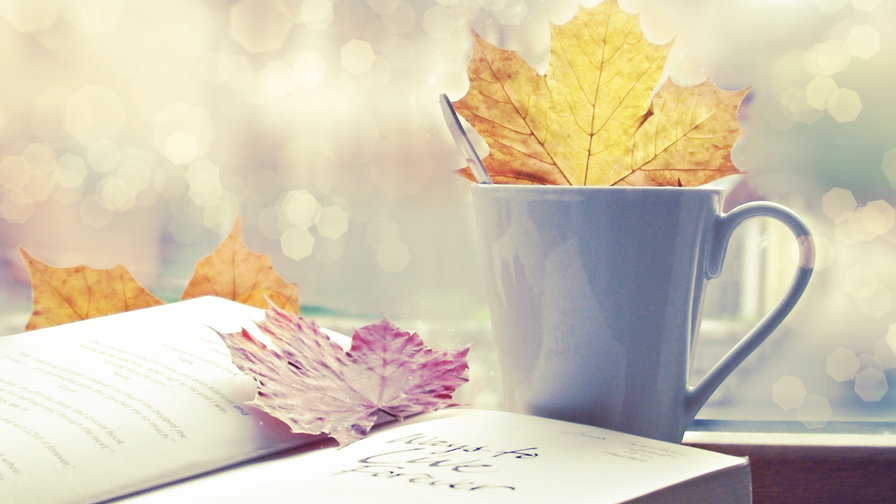 Осень - книга, осень, листья. чай - оригинал