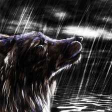 Оригинал схемы вышивки «волк под дождем» (№1443471)