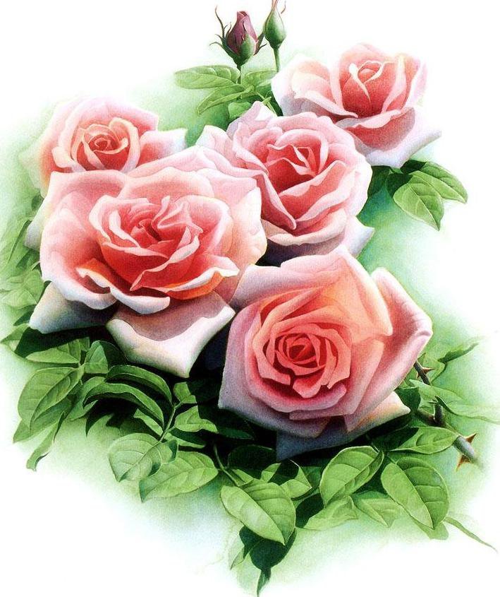 Розовый букет - розовые розы, розы, розовый букет - оригинал