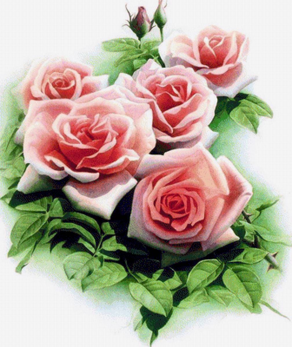 Розовый букет - розы, букет, цветы - предпросмотр