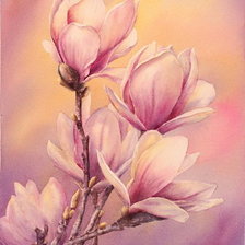 Оригинал схемы вышивки «Розовые цветы 3» (№1447461)